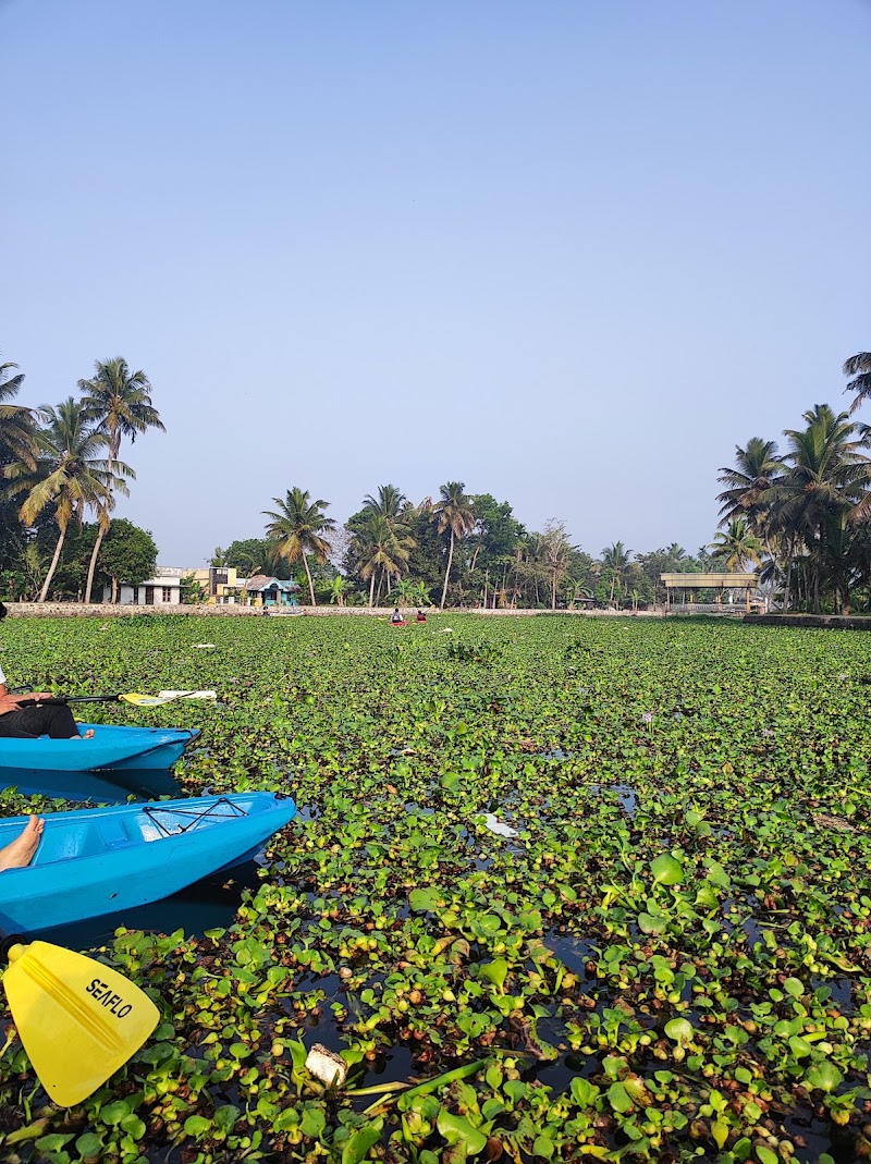 Nadodi Kayaking in Alleppey - Nadodi Kayaking in Alleppey Punnamada, Starting Point, Alappuzha, Mullakkal, Kerala 688006, India