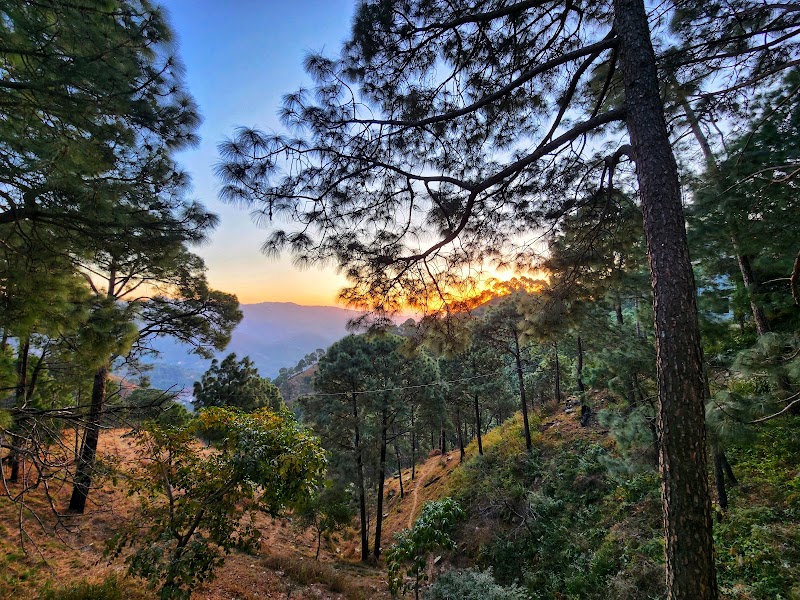 The Hamilton Kasauli - The Hamilton Kasauli, Kasauli, Himachal Pradesh 173220, India