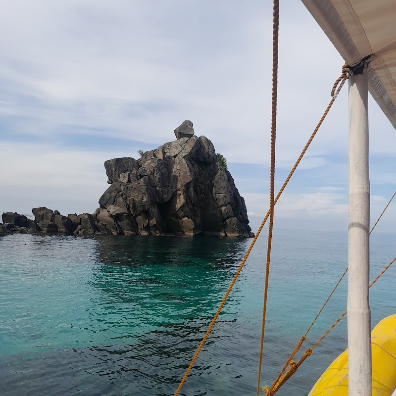 Apo Island Beach Resort - Apo Island Beach Resort, Apo Island, Dauin, 6217 Negros Oriental, Philippines