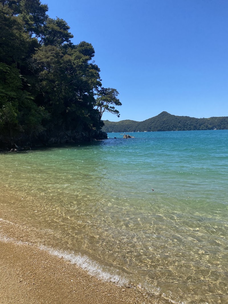 Apple Tree Bay Campsite - Apple Tree Bay Campsite, Abel Tasman Coast track, Tasman Region 7183, New Zealand