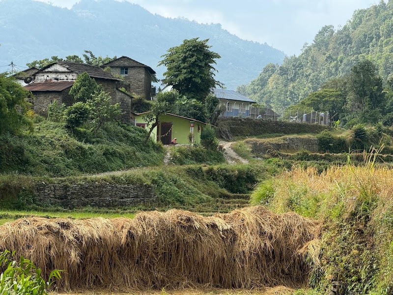 Dhampus Hike Start Point - Dhampus Hike Start Point, 7VQ6+R47, Dhampus 33700, Nepal