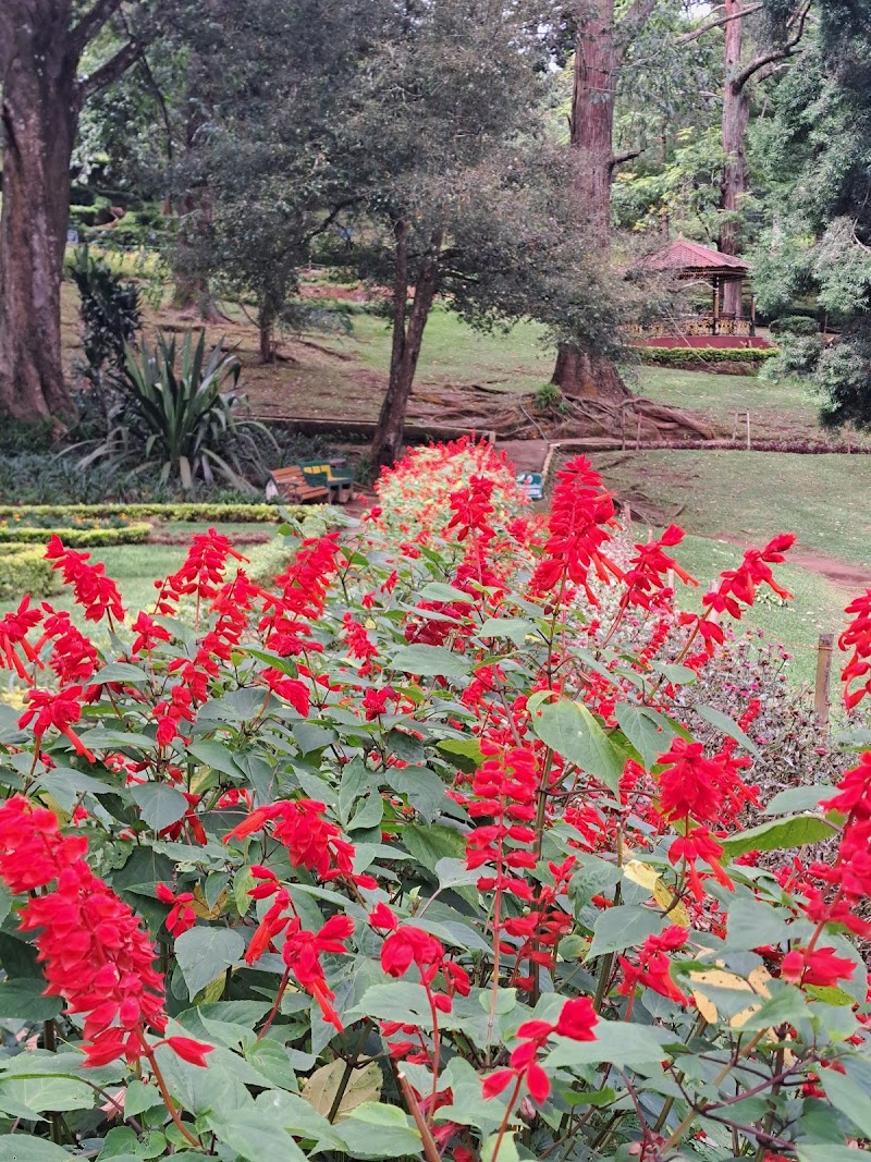 Coonoor Hill Station - Coonoor Hill Station 8QWV+2WJ, Upper Bazaar St, Kumaran Nagar, Coonoor, Tamil Nadu 643102, India
