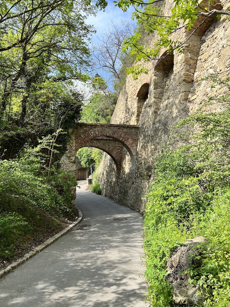Stadtwanderweg 1 - Stadtwanderweg 1, Zahnradbahnstraße, 1190 Wien, Austria