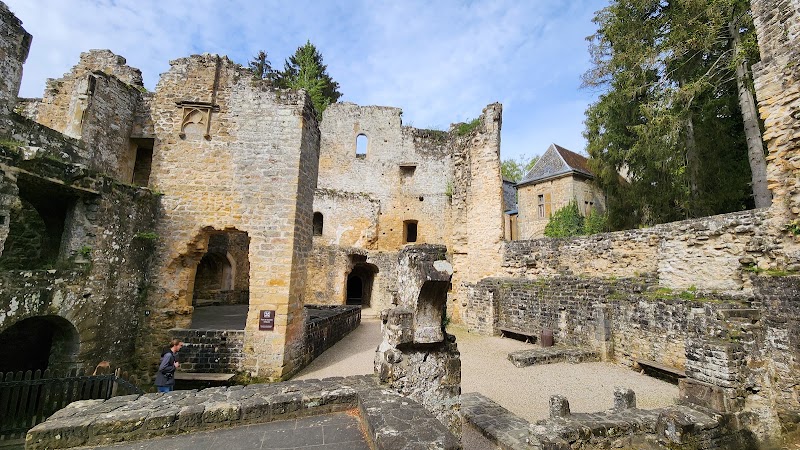 Medieval Castle Beaufort - Medieval Castle Beaufort, 24 Rue du Château, 6313 Beaufort, Luxembourg