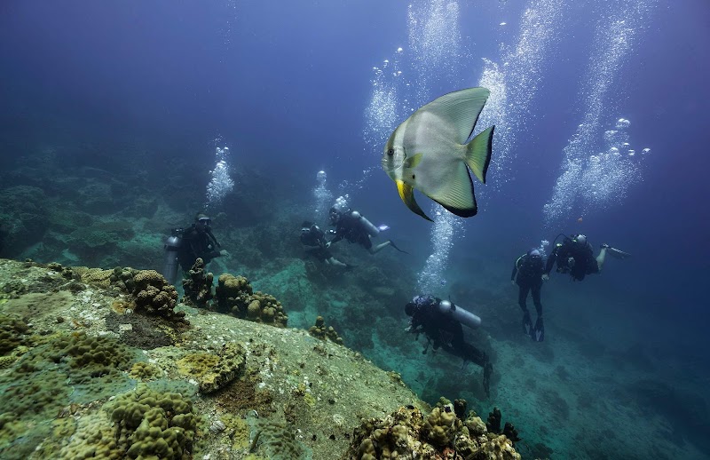 Waterspeak Private Charters & Scuba Diving - Waterspeak Private Charters & Scuba Diving, 33/110, ตำบล บ่อผุด อำเภอเกาะสมุย สุราษฎร์ธานี 84320, Thailand