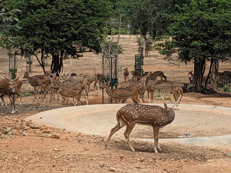 Namada Chilume Deer Park - Namada Chilume Deer Park, 958R+XFF, Devarayanadurga SF, Karnataka 572140, India