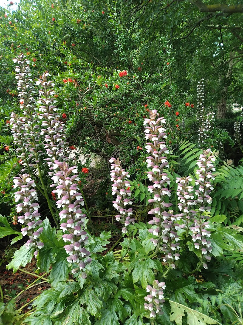 Old English Garden - Old English Garden, 4 St Agnes Pl, London SE11 4BE, UK