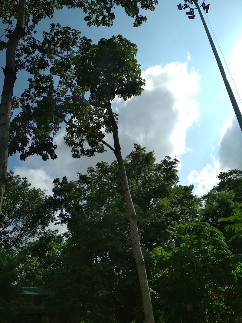 Independence Day Park - Independence Day Park 3, 6th Main Rd, TNGO Colony, Nanganallur, Chennai, Tamil Nadu 600061, India
