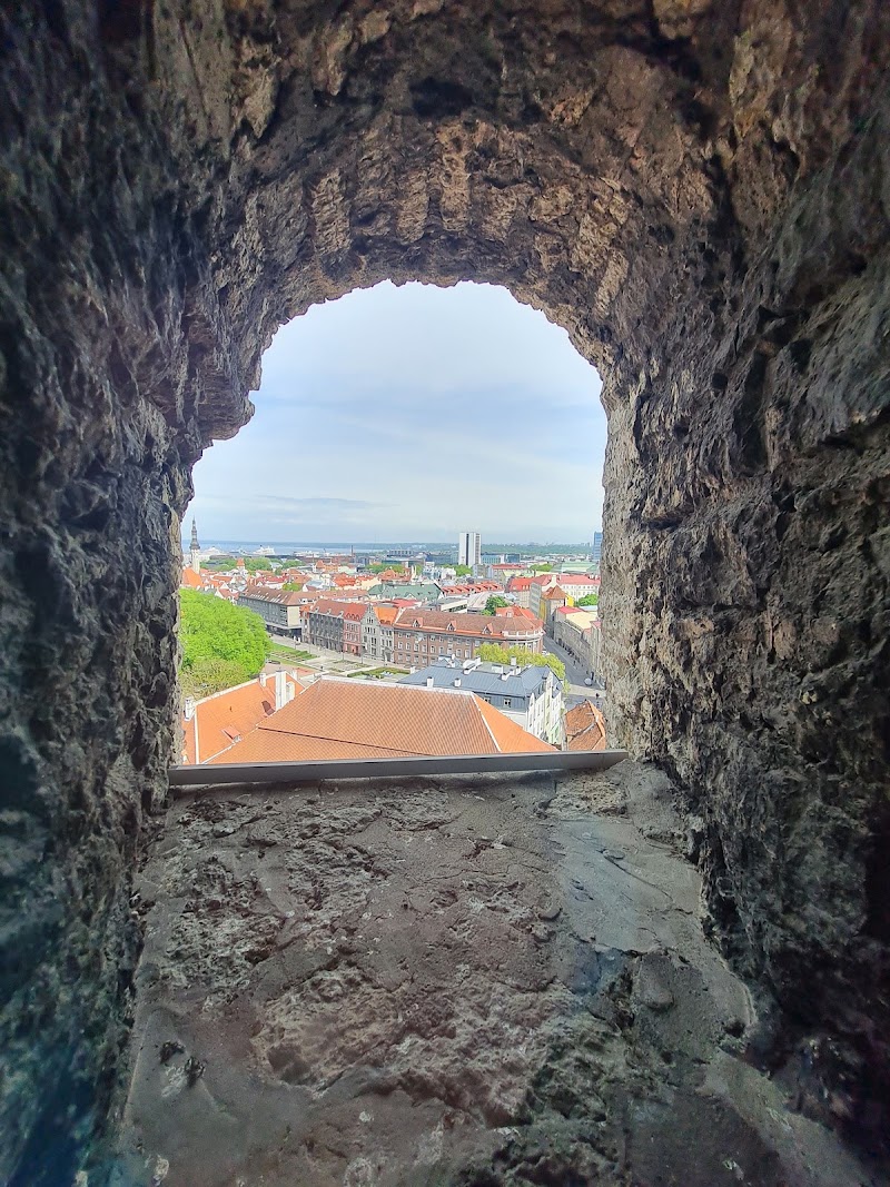 Kiek in de Kök Fortification Museum - Kiek in de Kök Fortification Museum Komandandi tee 2, 10130 Tallinn, Estonia