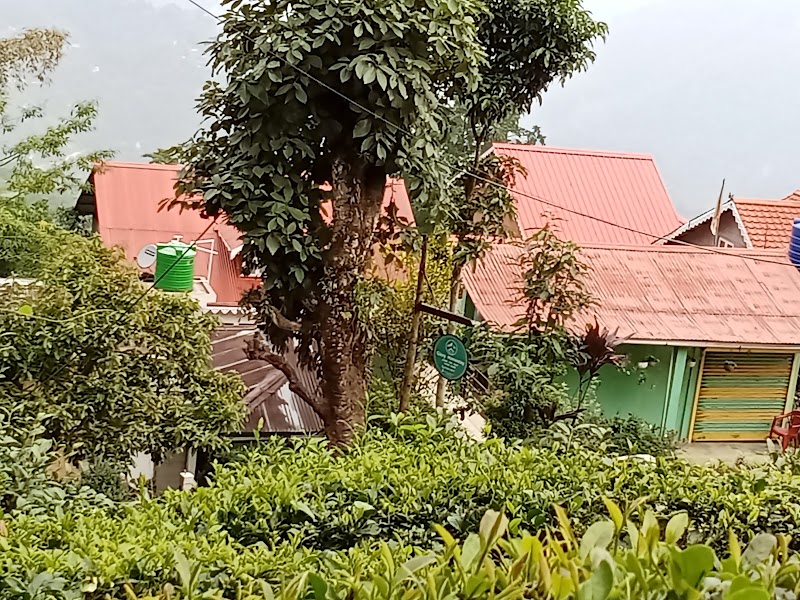 Glory homestay - Glory homestay 4th Division, Tukvar Tea Garden, Darjeeling, West Bengal 734104, India
