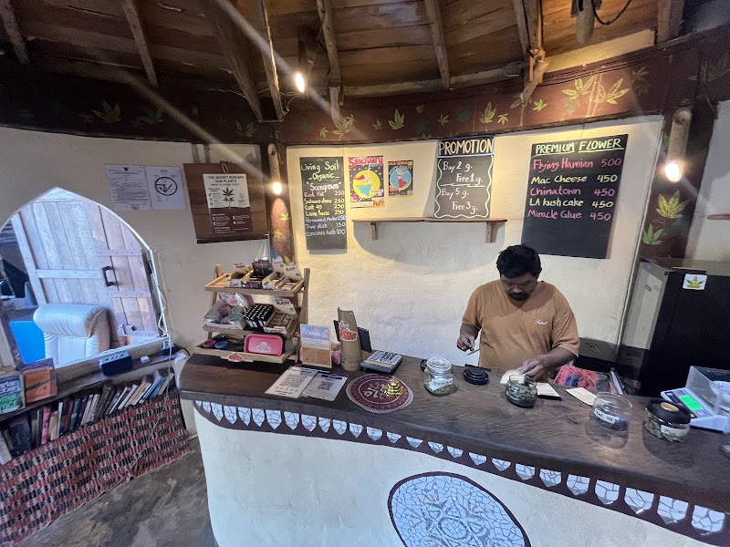 High Siam (koh lanta weed shop) - High Siam (koh lanta weed shop), 112, Tambon Ko Lanta Yai, Amphoe Ko Lanta, Chang Wat Krabi 81150, Thailand