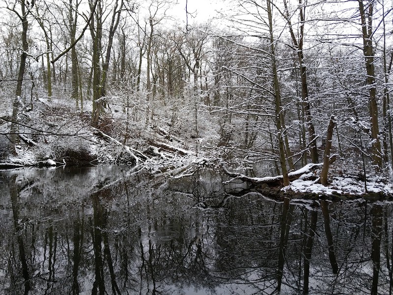 Vinoř Nature Reserve - Vinoř Nature Reserve, 190 15 Satalice, Czechia