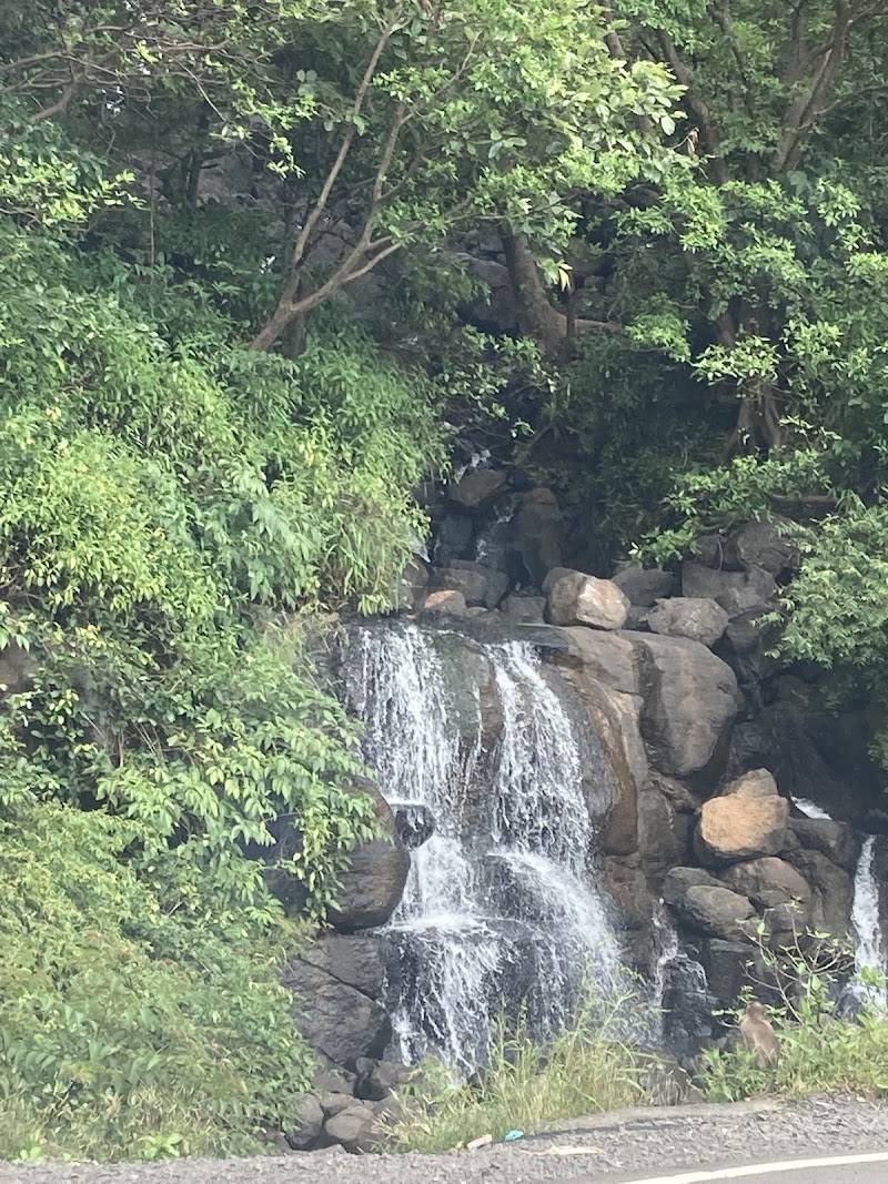 Tamhini Ghat Waterfall - Tamhini Ghat Waterfall, CCF3+9V8, Dasave, Tamhini, Maharashtra 402305, India