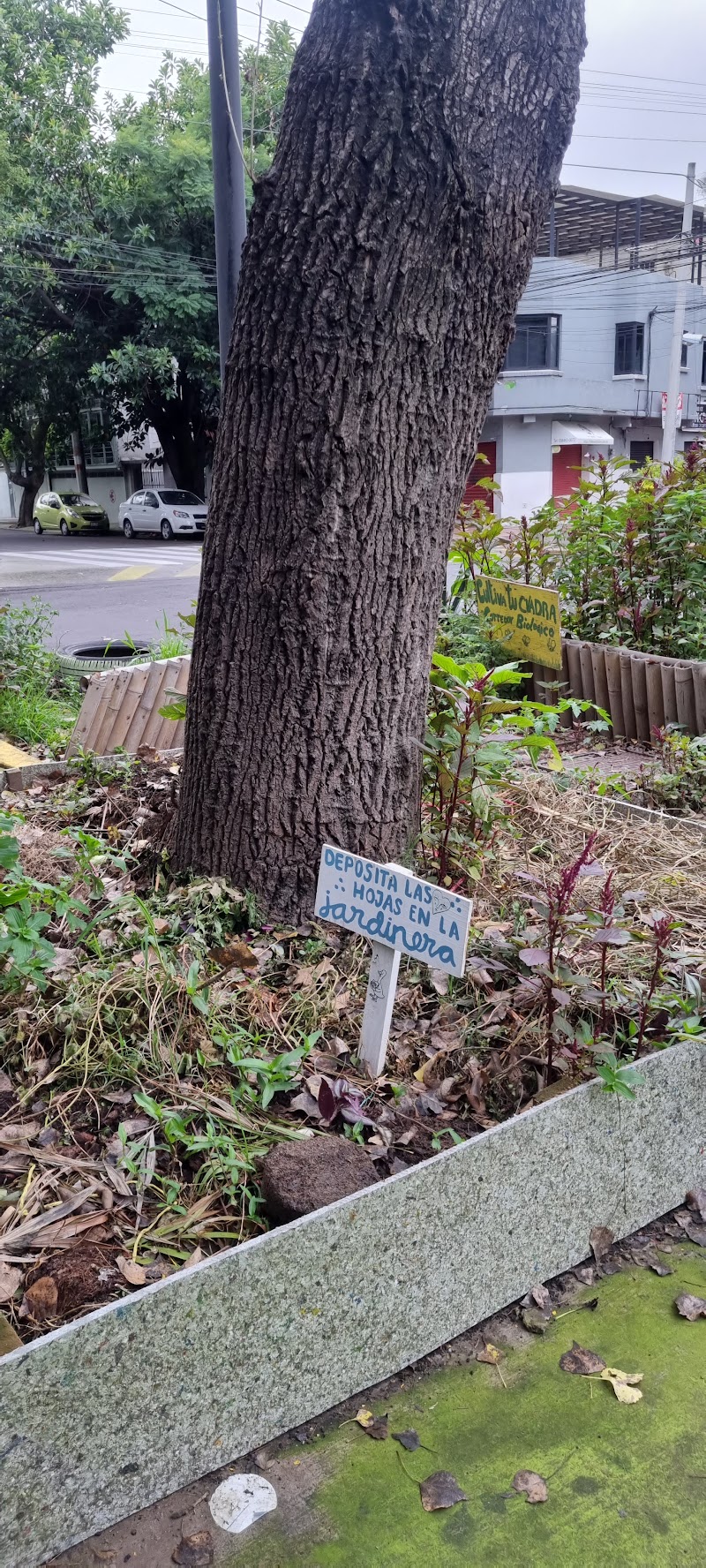 Roma Sur - Roma Sur, 06760 Ciudad de México, CDMX, Mexico