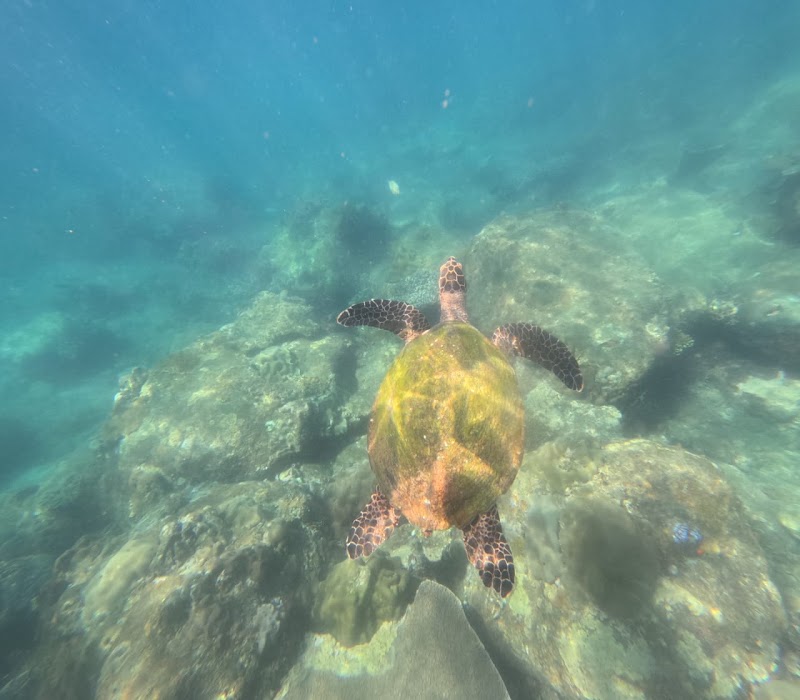 Ocean breeze Snorkeling centre