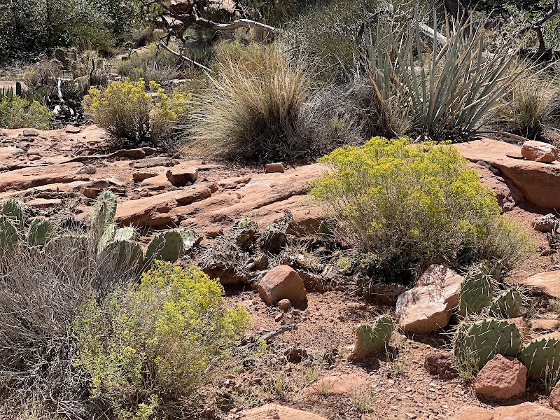 Toroweap Overlook - Toroweap Overlook, Littlefield, AZ 86432, USA