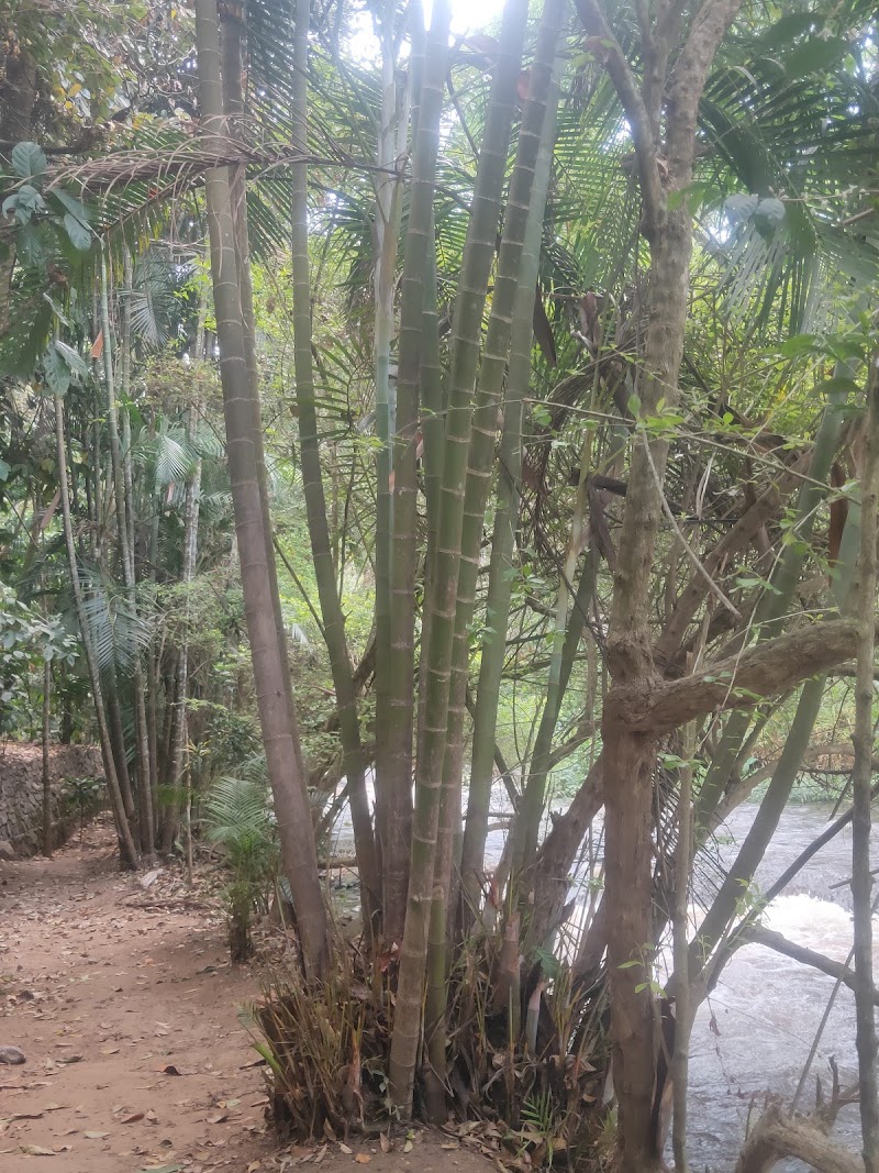 The spice garden (Umesh) - The spice garden (Umesh), Munnar - Kumily Hwy, Pooppara, Keralam 685619, India
