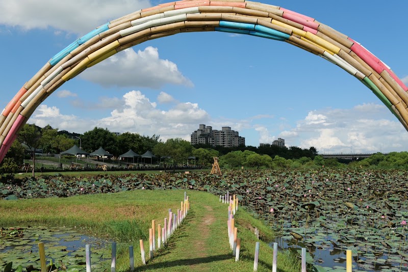 Shanjia Lotus Pond - Shanjia Lotus Pond X98Q+JR, Shulin District, New Taipei City, Taiwan 238