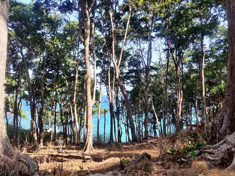 Munda hill View Point - Munda hill View Point FPH6+X8H, Andaman and Nicobar Islands 744105, India