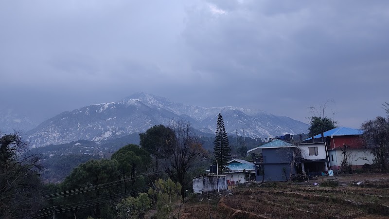 The Whispering Pines Hotel - The Whispering Pines Hotel, Project Road, V.P.O, Gopalpur, Dhanota, Himachal Pradesh 176059, India