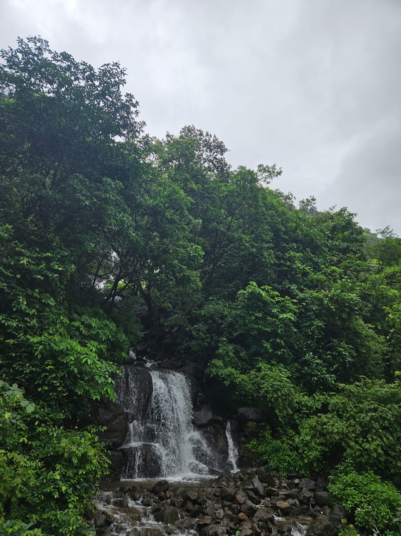 Tamhini Ghat - Tamhini Ghat, FGJ3+VGQ, Tamhini Ghat Rd, Dhamale Wadi, Gonawadi, Mulshi, Maharashtra 412108, India