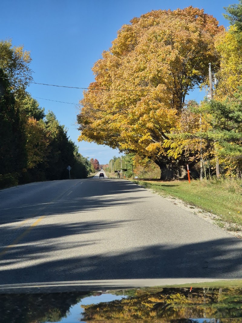 Coastal Byway - Coastal Byway, 501 WI-42, Ellison Bay, WI 54210, USA