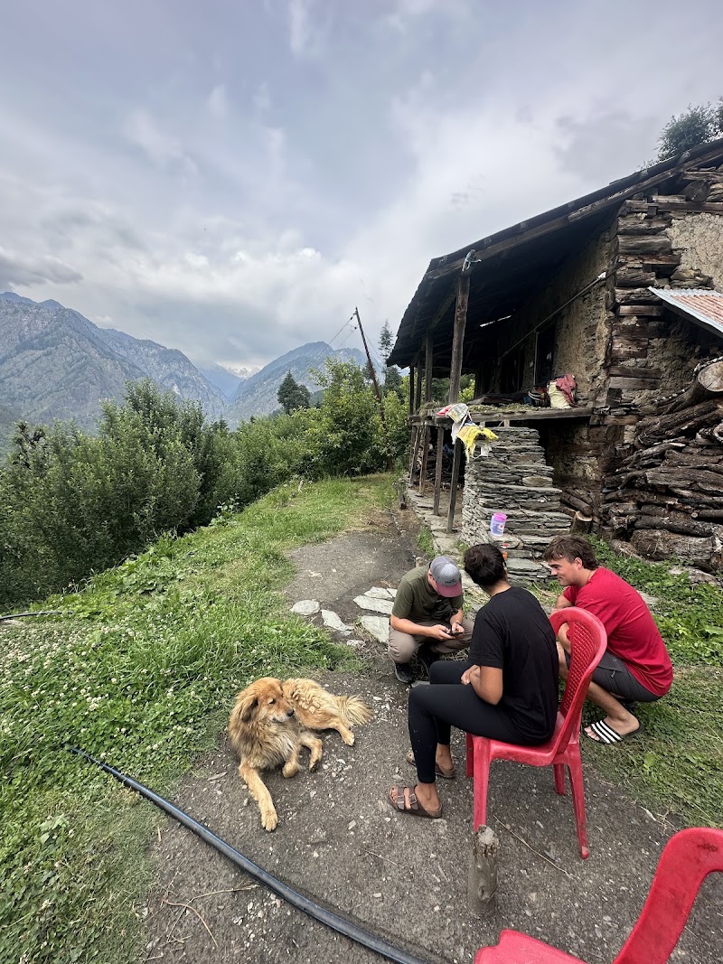 Mandala House & Cafe - Mandala House & Cafe, X6MH+J66, bhag, Bradha, Jari, Himachal Pradesh 175105, India