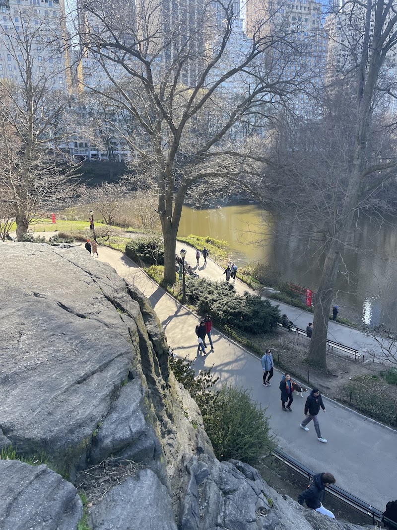 Central Park South - Central Park South Central Park S, New York, NY, USA