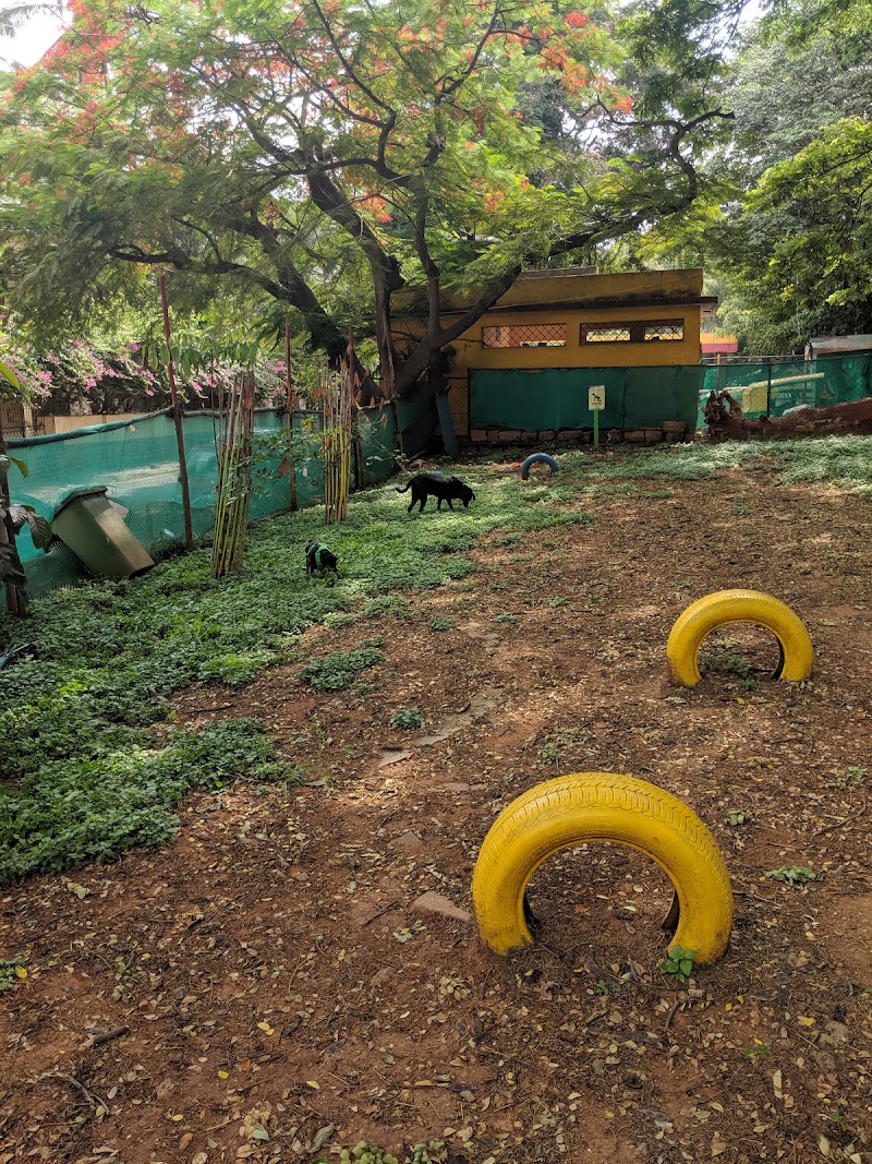 Domlur Dog Park - Domlur Dog Park, XJ6P+CM6, Domlur I Stage, 1st Stage, Domlur, Bengaluru, Karnataka 560071, India