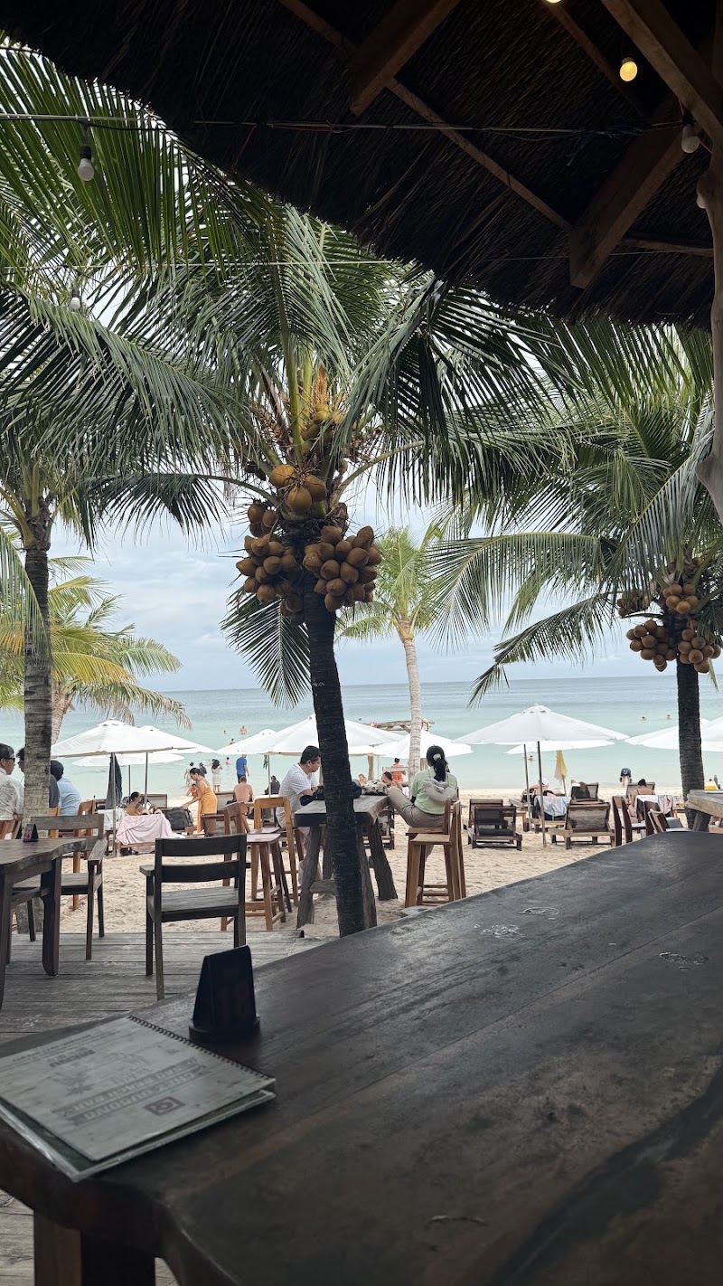 Sao Beach Club & Restaurant - Sao Beach Club & Restaurant, Tổ 9, Bãi Sao, Khu Phố 4, Phường, Phú Quốc, An Giang 92513, Vietnam