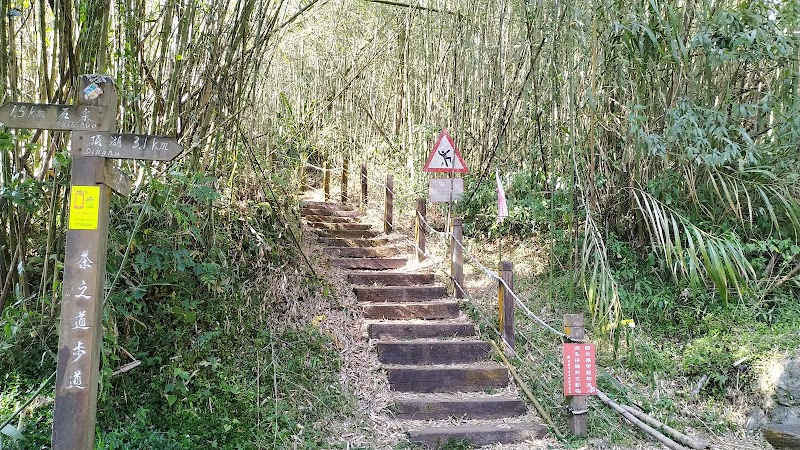 Tea Trail - Tea Trail 605, Taiwan, Chiayi County, Alishan Township, 樂野村