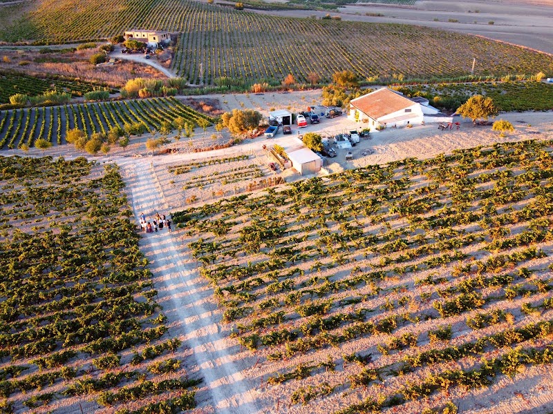 Genuine Andalusia | Spain Trip Planner | Travel Agent Specialist - Genuine Andalusia | Spain Trip Planner | Travel Agent Specialist, C. San José, 2, 2b, 11403 Jerez de la Frontera, Cádiz, Spain