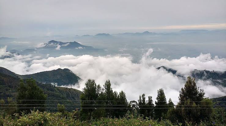 Coakers Walk - Coakers Walk 6FHV+XGC Coakers Walk, Kodaikanal, Tamil Nadu 624101, India