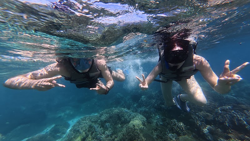 Bohol Nature Tours - BNT Travel and Tours Agency - Bohol Nature Tours - BNT Travel and Tours Agency, Alaia Studios Bldg, Panglao Island Circumferential Rd, Panglao, Bohol, Philippines
