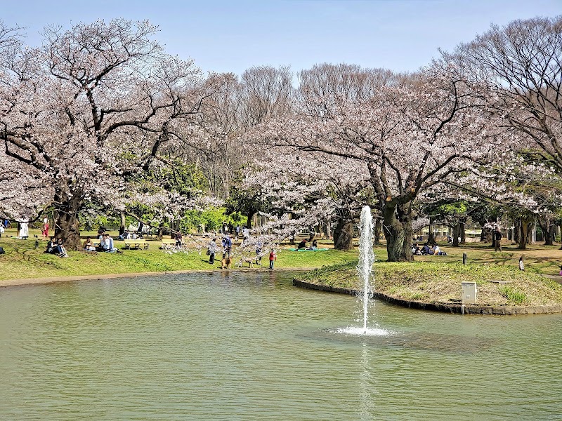 Yoyogi Park - Yoyogi Park 2-1 Yoyogikamizonochō, Shibuya, Tokyo 151-0052, Japan