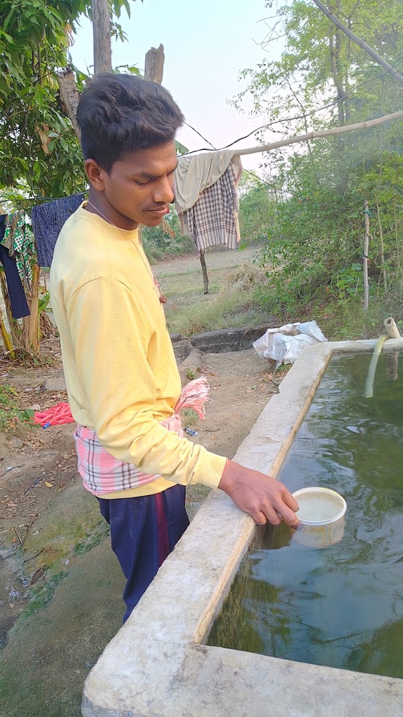 CD no 1/4 - CD no 1/4, 29X8+66C, Haladipadar, Odisha 767022, India