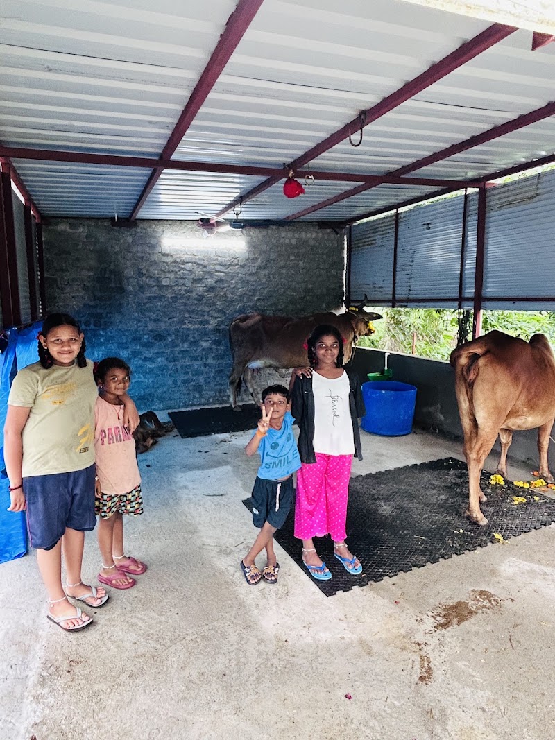 FarmtoHome Dairy - FarmtoHome Dairy, Kuthrel, Chhattisgarh 491221, India