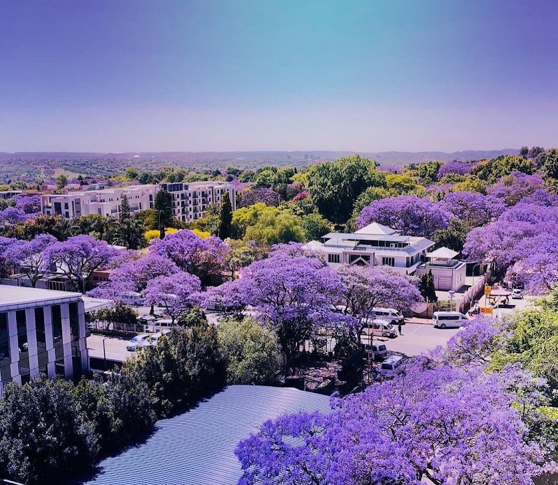 Rosebank - Rosebank, Johannesburg, 2196, South Africa