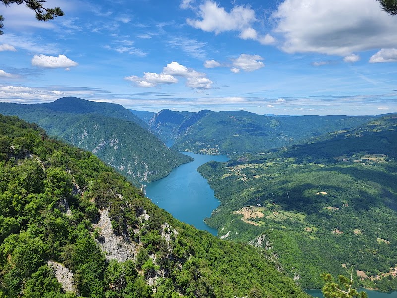 Tara national park