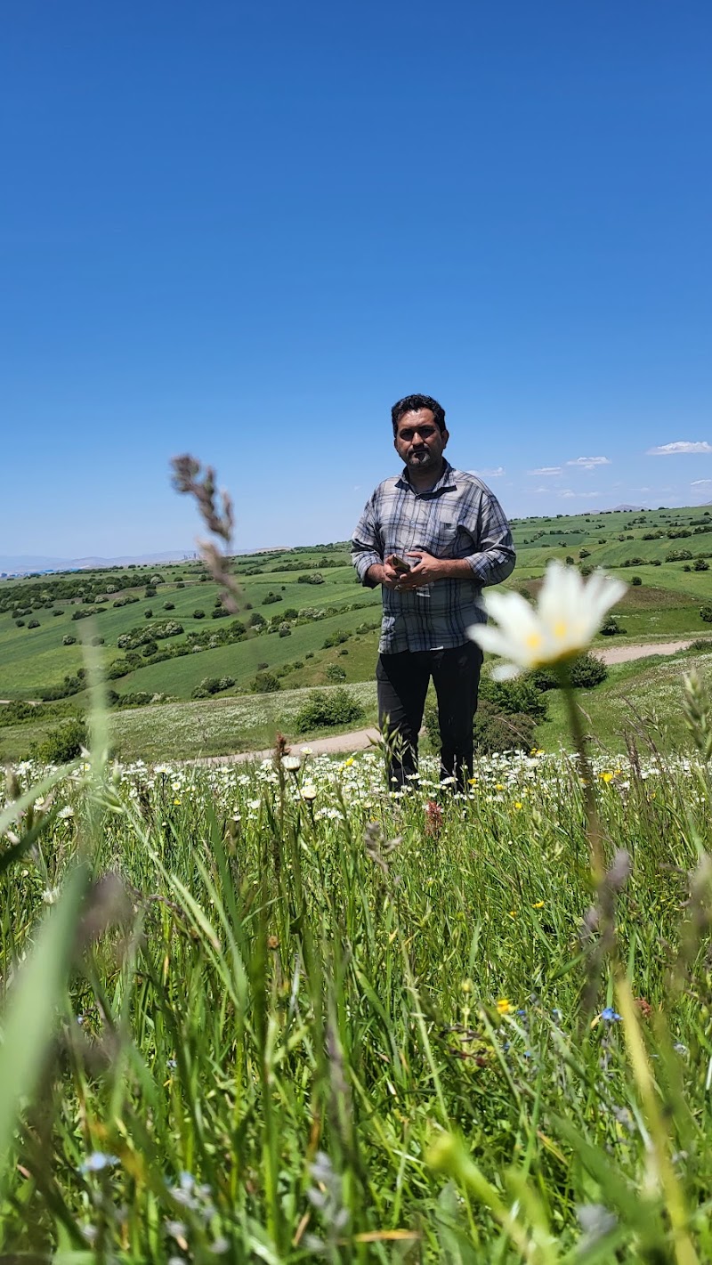 جنگل فندقلو استان اردبیل - جنگل فندقلو استان اردبیل, CH46+MP, Khaneqah-e Olya, Ardabil Province, Iran
