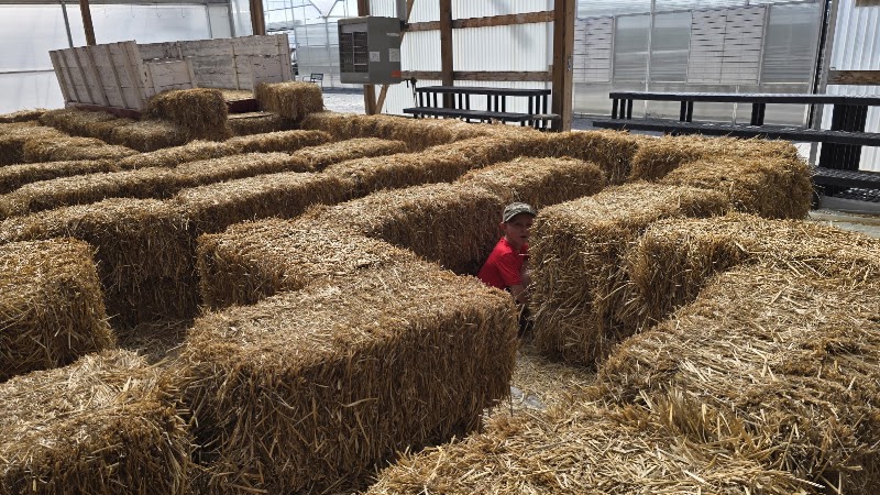 Strawberry Hill Farms - Strawberry Hill Farms 3770 E Missouri 163, Columbia, MO 65201, USA