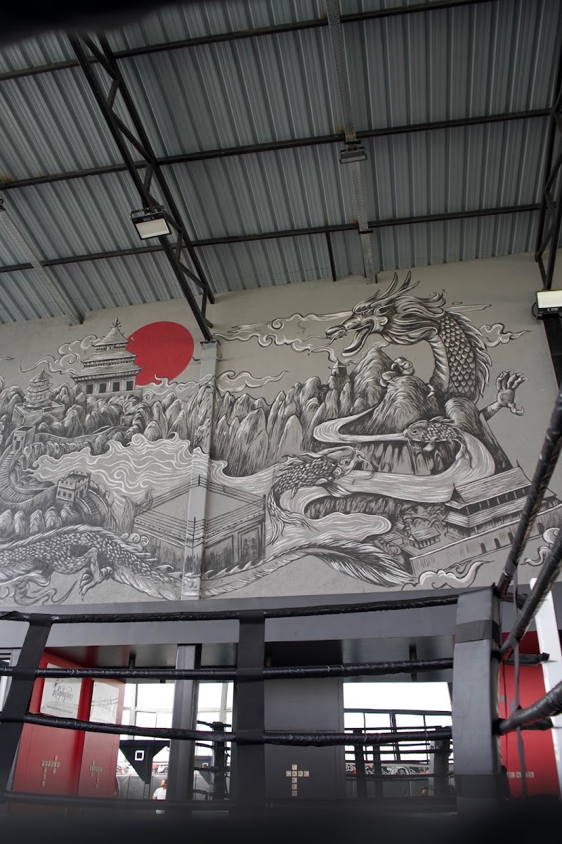 MAIDAAN MMA - Martial Arts Training & Boxing Classes in Undri Pune - MAIDAAN MMA - Martial Arts Training & Boxing Classes in Undri Pune Musclebar Sports Club, behind Hill Green High School, Bellagio, Undri, Pune, Maharashtra 411060, India