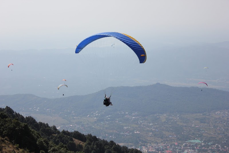 Paragliding In Bir Billing - HP Adventures - Paragliding In Bir Billing - HP Adventures Paragliding Landing Ground Site Colony Road, Bir Colony, Bir, Chaugan, Himachal Pradesh 176077, India