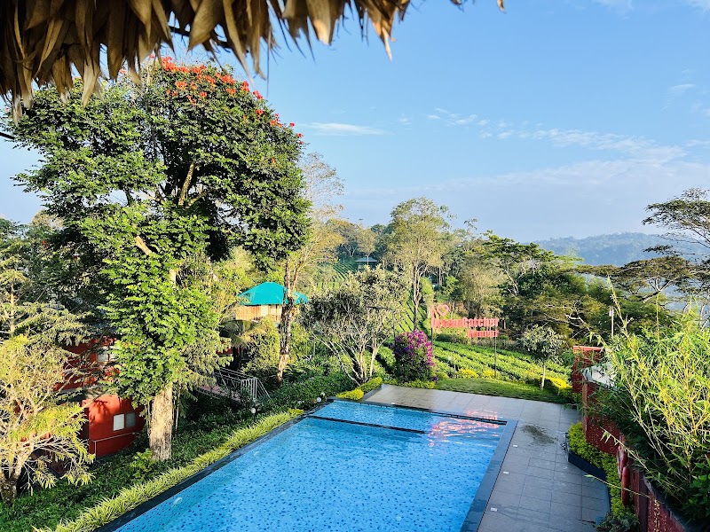 Dream Catcher Plantation Resort - Dream Catcher Plantation Resort, Tea Company,Bisonvalley Road, Rathnagiri, Kerala 685565, India