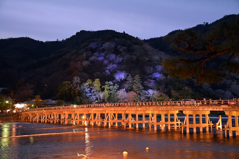 Togetsukyō Bridge - Togetsukyō Bridge, 1-5 Sagatenryūji Susukinobabachō, Ukyo Ward, Kyoto, 616-8384, Japan