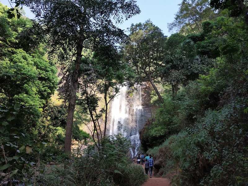Jhari water falls path - Jhari water falls path, Inam Dattathreya Peeta, Karnataka 577131, India
