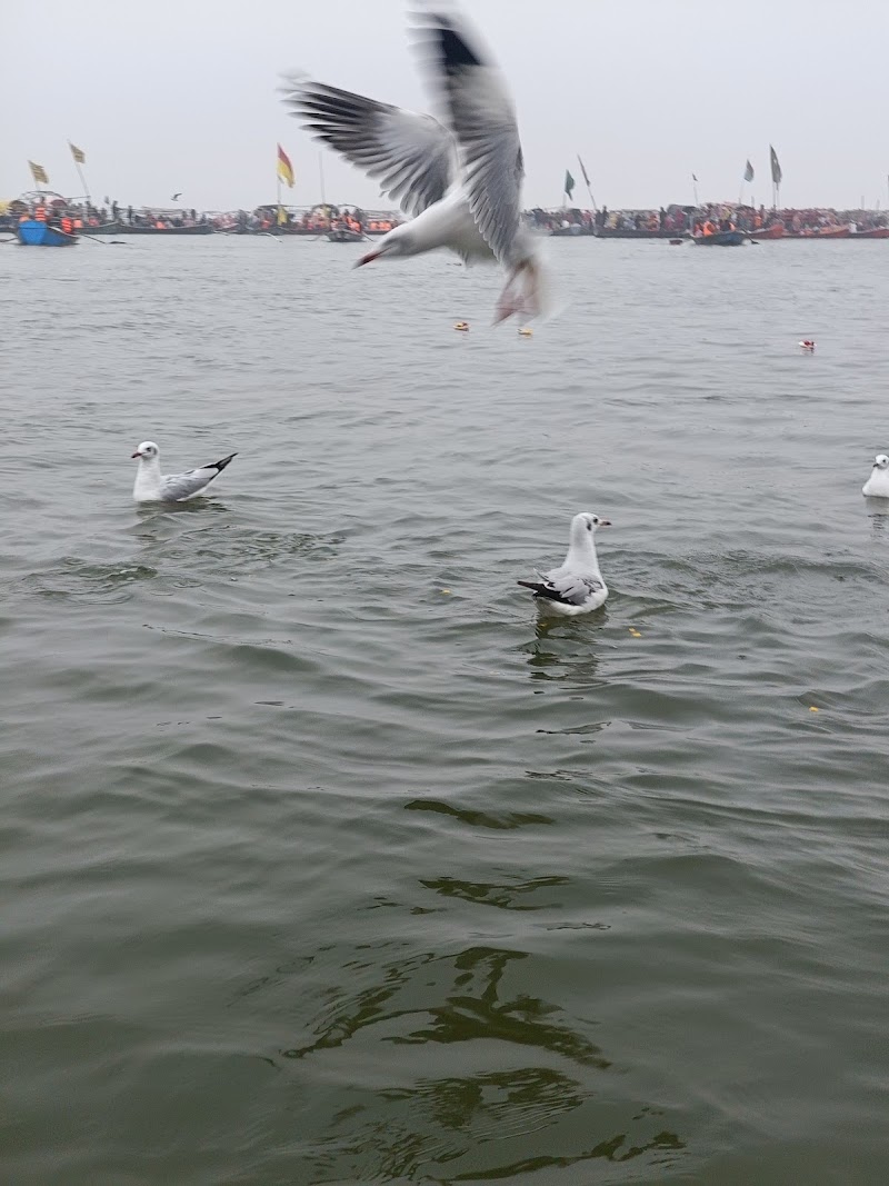Triveni sangam - Triveni sangam Triveni Sangam, Sachcha Baba Nagar, Prayagraj, Uttar Pradesh 211008, India
