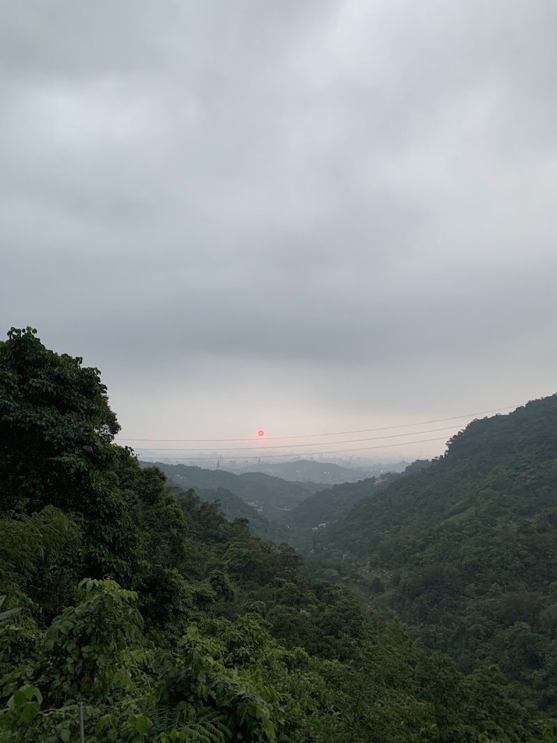 貓空觀光茶園 - 貓空觀光茶園, Wenshan District, Taipei City, Taiwan 116