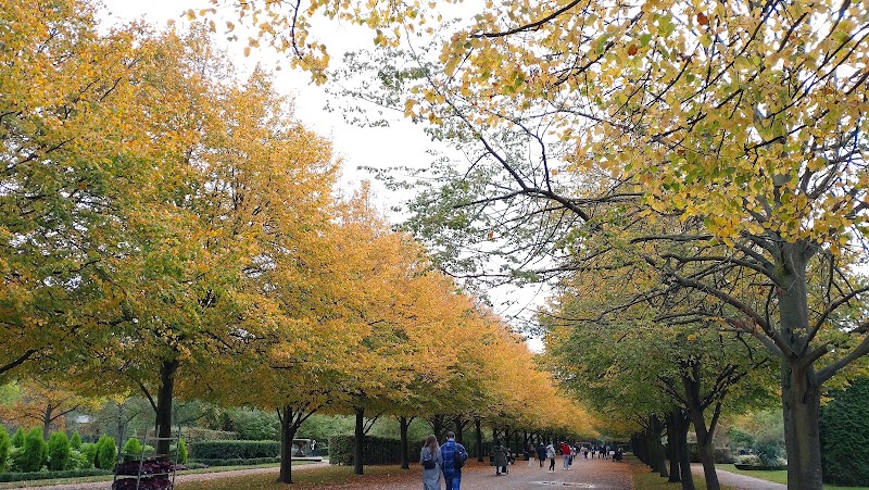 Avenue Gardens - Avenue Gardens, The Broad Walk, London NW1 4LL, UK