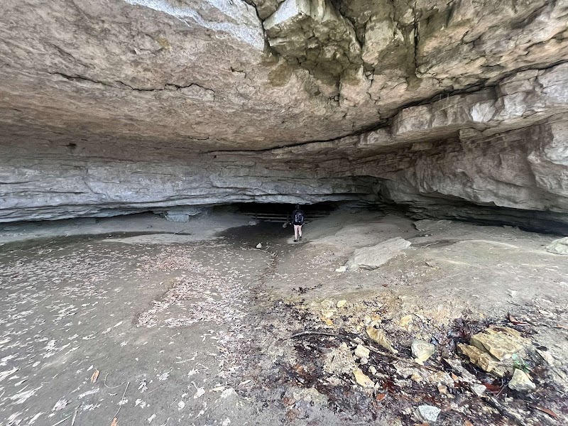 Natural Bridge State Park Woodland Center - Natural Bridge State Park Woodland Center 2135 Natural Bridge Road Slade, 2135 Cottage Rd, Slade, KY 40376, USA